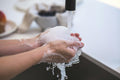 Uncle Harry's Undiluted Unscented Castile Soap